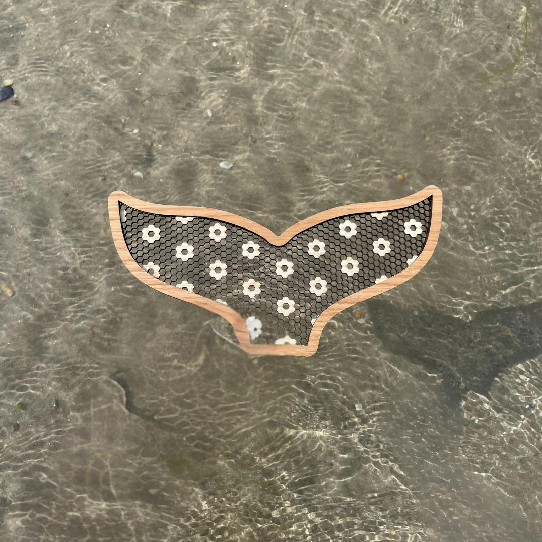 La queue de baleine
