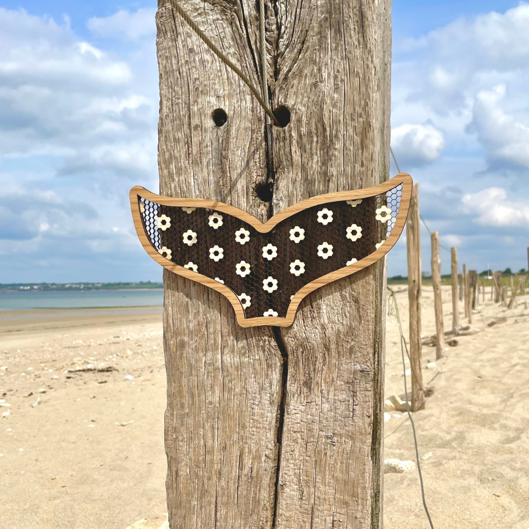 La queue de baleine